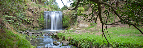 Te Auaunga Oakley Creek Walkway