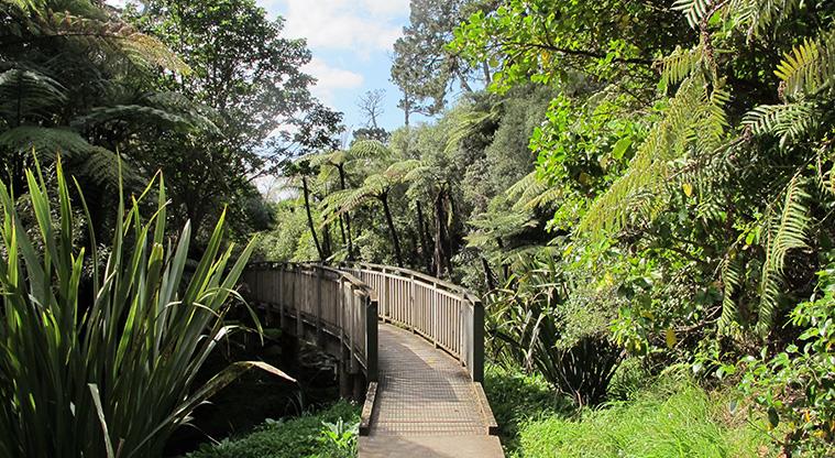 Oakley Creek Walkway- A bridge crossing Oakley Creek.