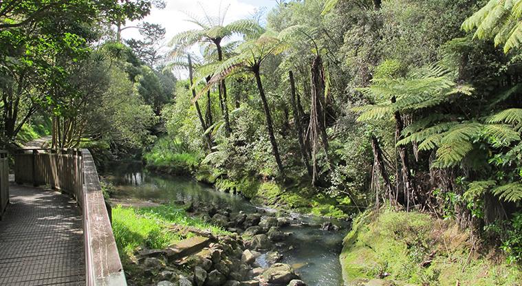 Oakley Creek Walkway - A view from the path near the top of the waterfall.