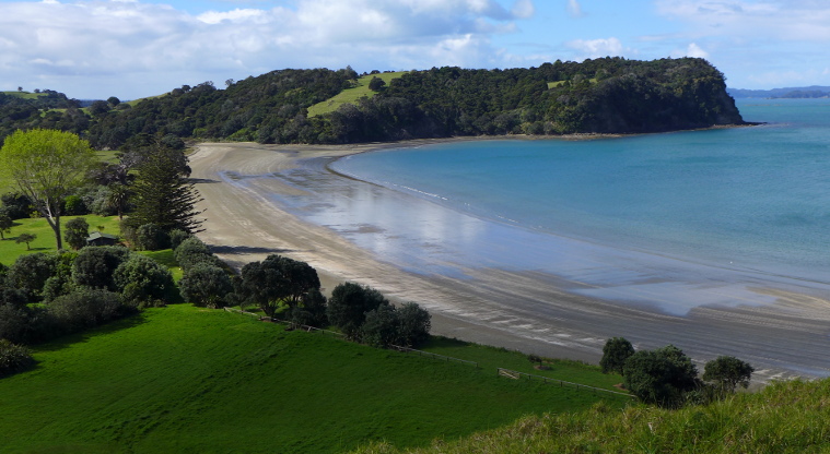 Te Muri Regional Park – Te Muri Beach. © Michel Perrin Photography.