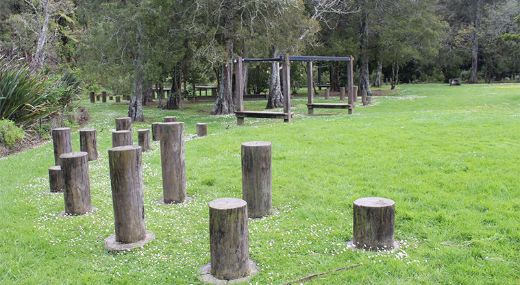 Te Nikau Pā - Fitness equipment and stepping stumps.