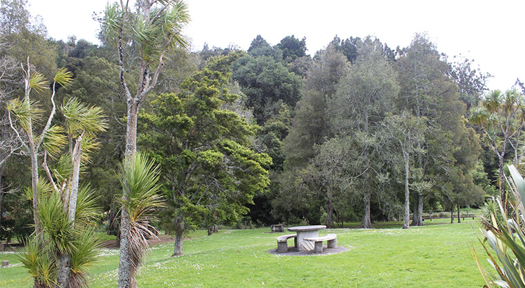 Te Nikau Pā - Open space and picnic area.