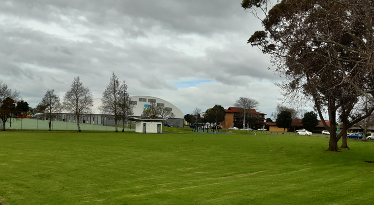 Te Pai Park - Large green open space connecting the netball courts, skate park and playground. Photo credit: Tracey Hodder.