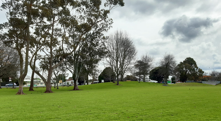 Te Pai Park - Open space with tall trees. Photo credit: Tracey Hodder.
