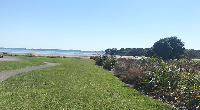 Te Puru Park - Open space with the beach in the background.