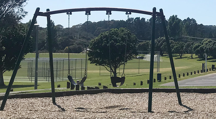 Te Puru Park - Set of two swings with the sports fields and trees in the background.