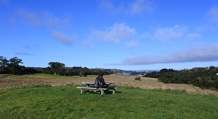 Te Toki Reserve - Open space with a person sitting at a picnic table looking out over the view.