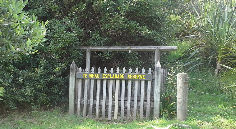Te Whau Esplanade Reserve - Gate at the entrance to the reserve.