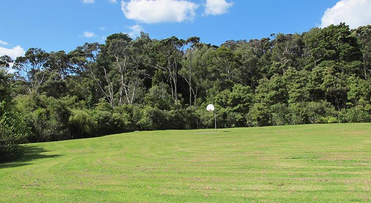 The Landing - Basketball half-court with bush in the background.
