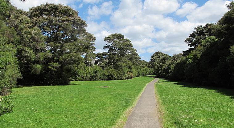 The Landing - Section of path through the reserve with grass and bush on both sides.
