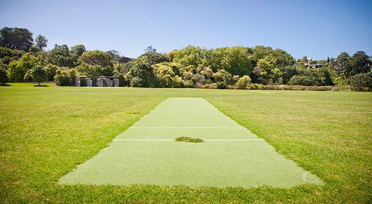 Thomas Bloodworth Park - Sports field with cricket pitch. Photo credit: Luke Harvey.