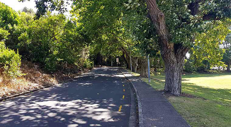 Three Kings Reserve - Grahame Breed Drive.