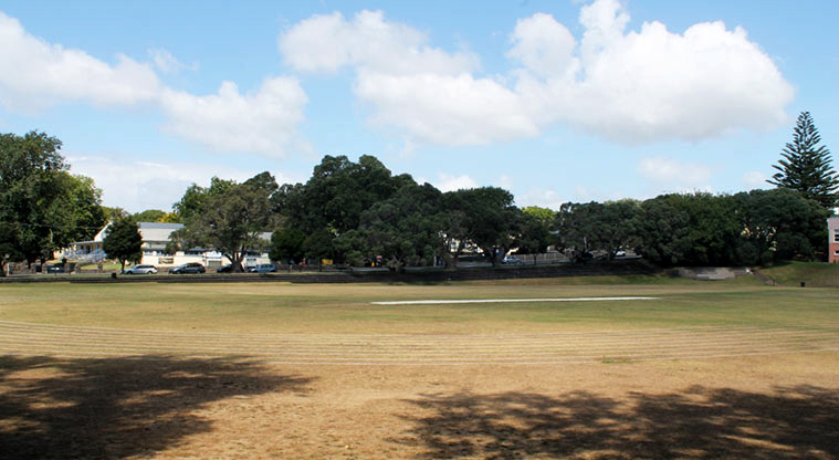 Three Kings Reserve - large playing fields at the Mt Eden Road and Grahame Breed Drive end of the reserve.