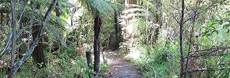 Three Streams Reserve