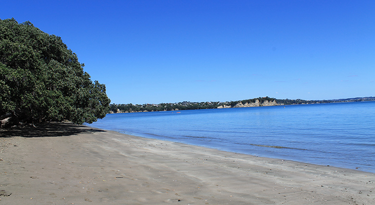 Tindalls Beach - Section of the beach and view out to sea. Photo credit: M Loubser.
