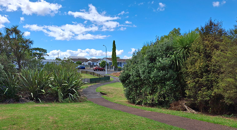 Tony Segedin Esplanade Reserve - Path leading from the Canal Road entrance into the reserve. Photo credit: T Hodder.