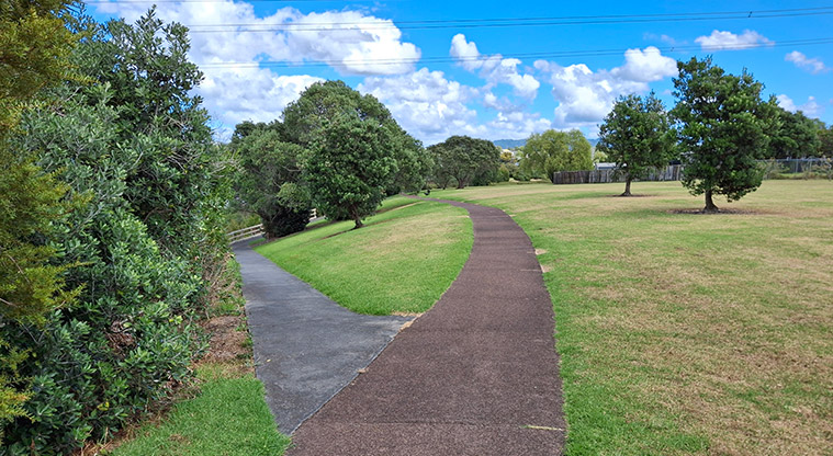 Tony Segedin Esplanade Reserve - A section of the reserve with open grassed space, trees and two paths joining into one. Photo credit: T Hodder.
