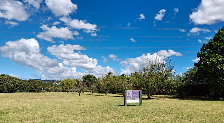 Tony Segedin Esplanade Reserve - Open grassed space with trees in the background that were planted to commemorate the babies born from 2011 to 2012. Photo credit: T Hodder.