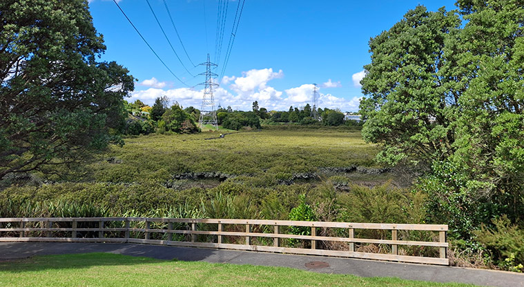 Tony Segedin Esplanade Reserve - Section of path through the reserve with a wooden fence and the mangroves in the background. Photo credit: T Hodder.