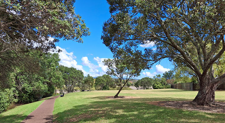 Tony Segedin Esplanade Reserve - A section of path through the trees. Photo credit: T Hodder.