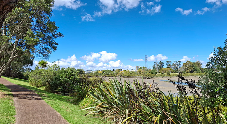 Tony Segedin Esplanade Reserve - A section of path with trees and views across the mangroves. Photo credit: T Hodder.