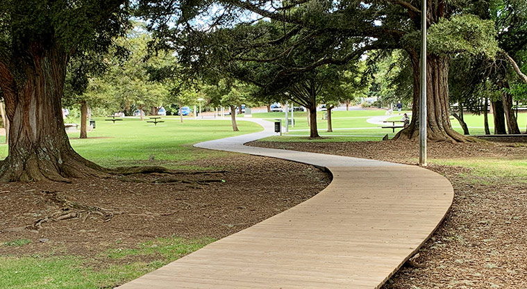 Tōtara Park - Section of the boardwalk winding through the trees.