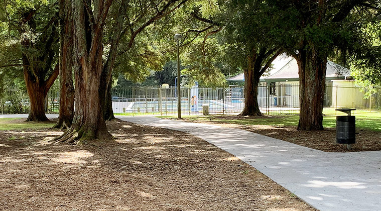 Tōtara Park - Path leading under the trees to the Tōtara Park swimming pool.