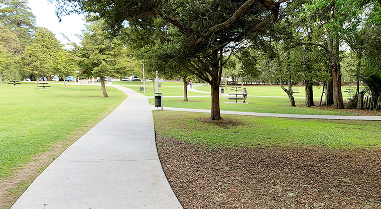 Tōtara Park - Open green space with a path down the middle, picnic tables and large trees.