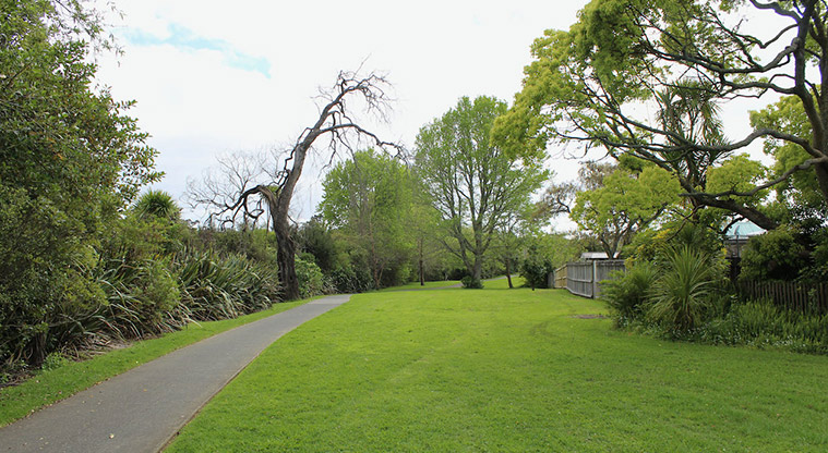 Tūī Glen Reserve - Section of path through the reserve with open grassed space and trees.