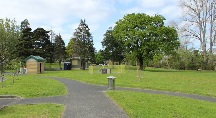 Tūī Glen Reserve - Sections of several paths with a fenced barbecue, the toilets, open grassed space and large trees.