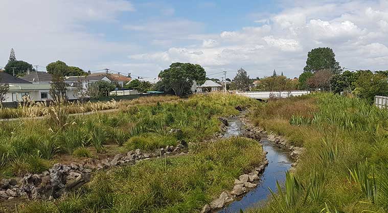 Underwood Park - a section of Oakley Creek with the path in the background.