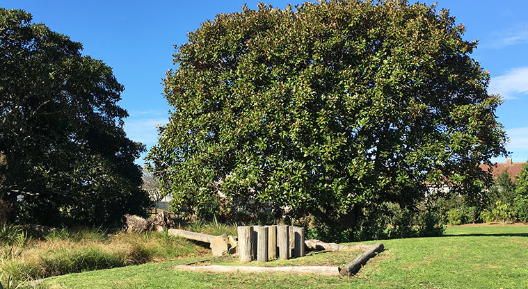 Underwood Park – stepping posts next to a large tree by the playground.