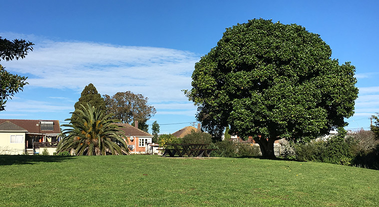 Underwood Park – large tree with a picnic table and seating underneath.