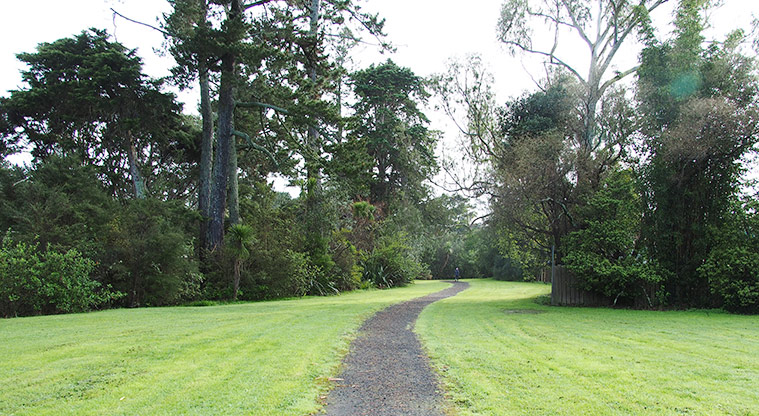 Waimoko / Urlich Esplanade Reserve - Section of path and trees in the reserve. Photo credit: T Hodder.