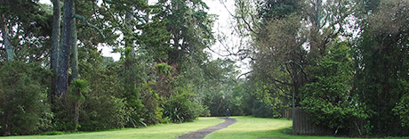 Urlich Esplanade Reserve