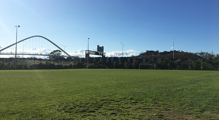 Valonia Reserve - Sports field with the bridge over SH20 in the background. Photo credit: S Hulse.