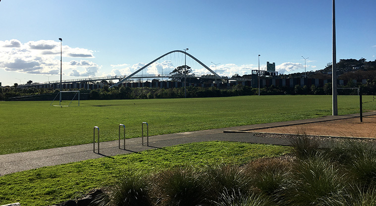 Valonia Reserve  - Looking across the fields to the bridge over SH20. Photo credit: S Hulse.