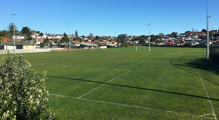 Valonia Reserve - Sports fields with markings and flood lights. Photo credit: S Hulse.