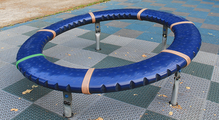 Victoria Park - Blue padded spinner. Photo credit: M Loubser.