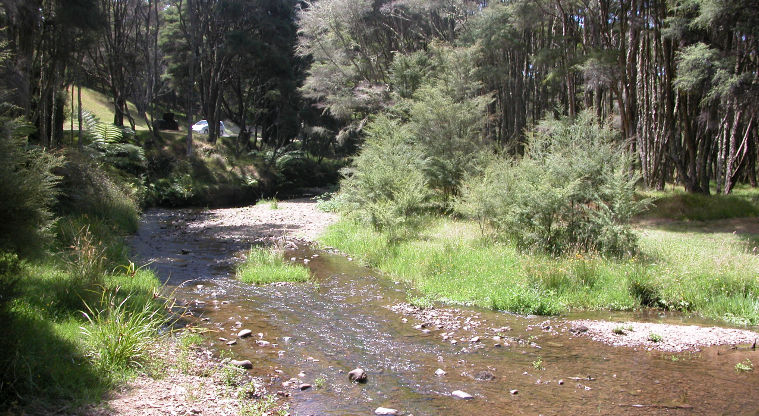Waharau Regional Park - Creek alongside campground road.