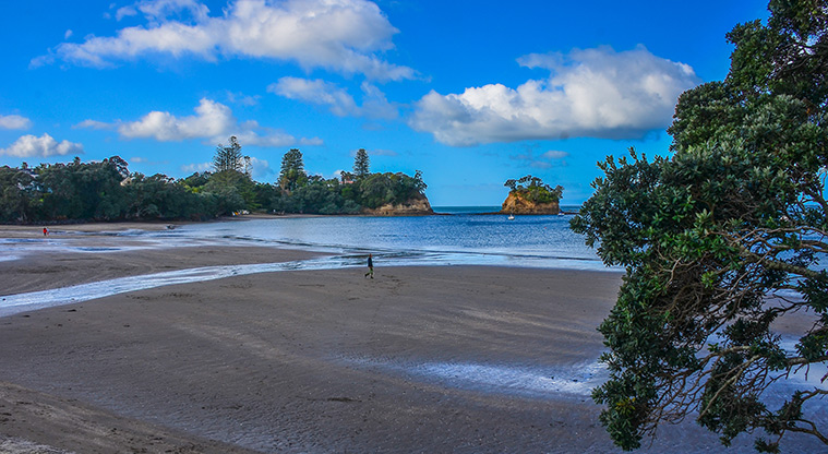 Waiake Beach Reserve - Beach with Tor Island in the background. Photo credit: Aleksandar Ćirilović.