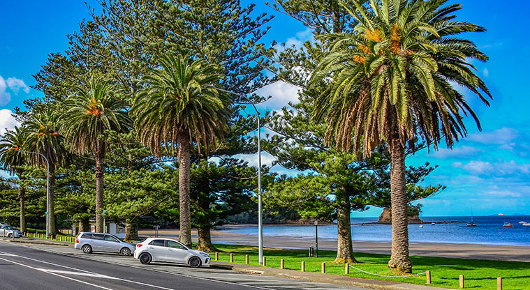 Waiake Beach Reserve - Parking on the street. Photo credit: Aleksandar Ćirilović.
