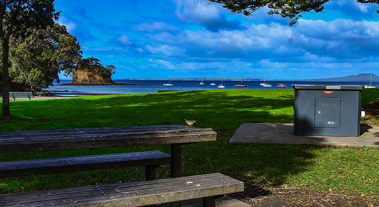 Waiake Beach Reserve - Picnic table and barbecue. Photo credit: Aleksandar Ćirilović.