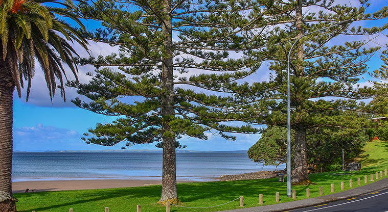 Waiake Beach Reserve - View from the road. Photo credit: Aleksandar Ćirilović.