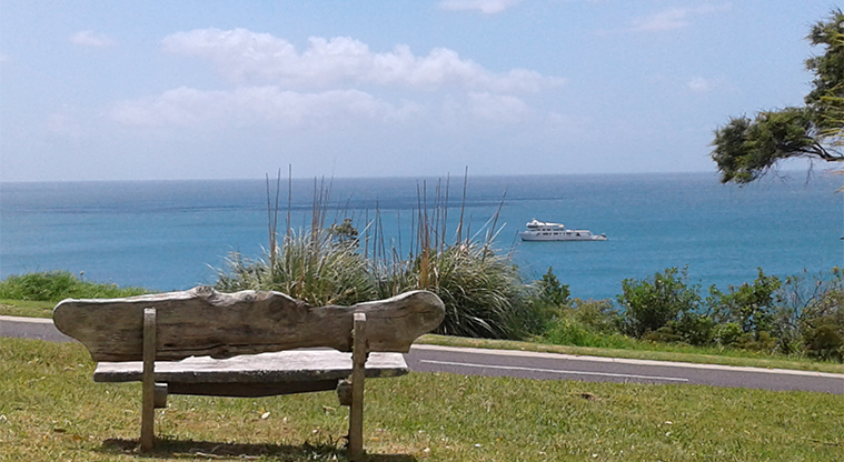 Waiheke Backpackers Hostel - Seat on the hill with a view of the sea and a ferry.