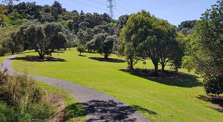 Waikōwhai Park - Lots of open space is great for dog walking.