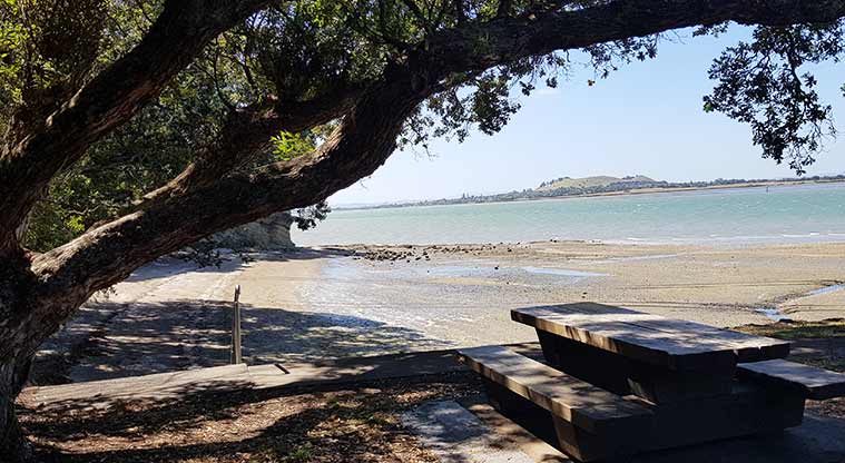 Waikōwhai Park - A quiet spot with a picnic table and seating to enjoy the harbour views.