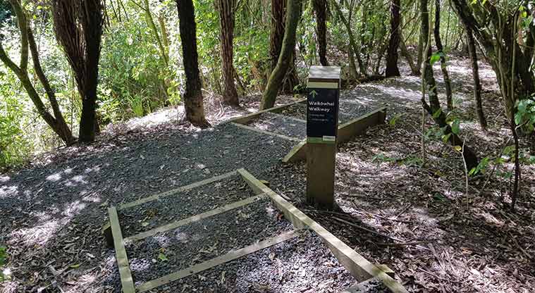 Waikōwhai Park - The walkway is a tough but spectacular walk through the bush.