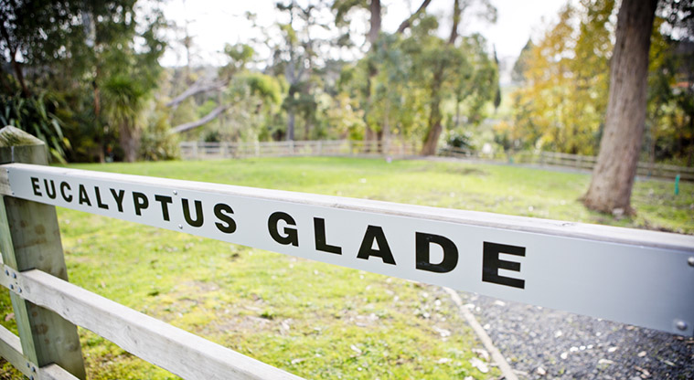 Waikumete Cemetery – The Eucalyptus Glade enclosure is an area for people to scatter the ashes of their loved one.