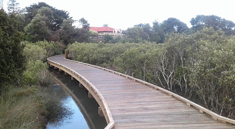 Waimāhia-ki-uta / Waimahia Park - Section of boardwalk over the mangroves.